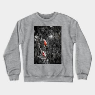 Galah_9001A Crewneck Sweatshirt